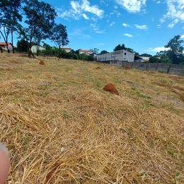 Terreno, 1000 m² - Foto 9