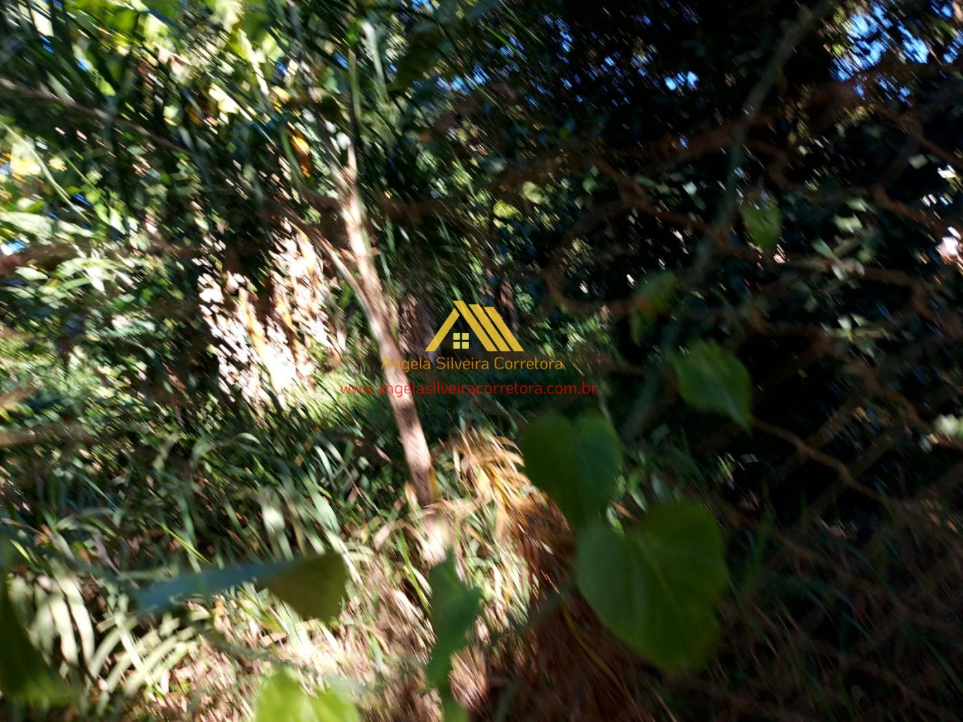 Terreno, 1000 m² - Foto 5