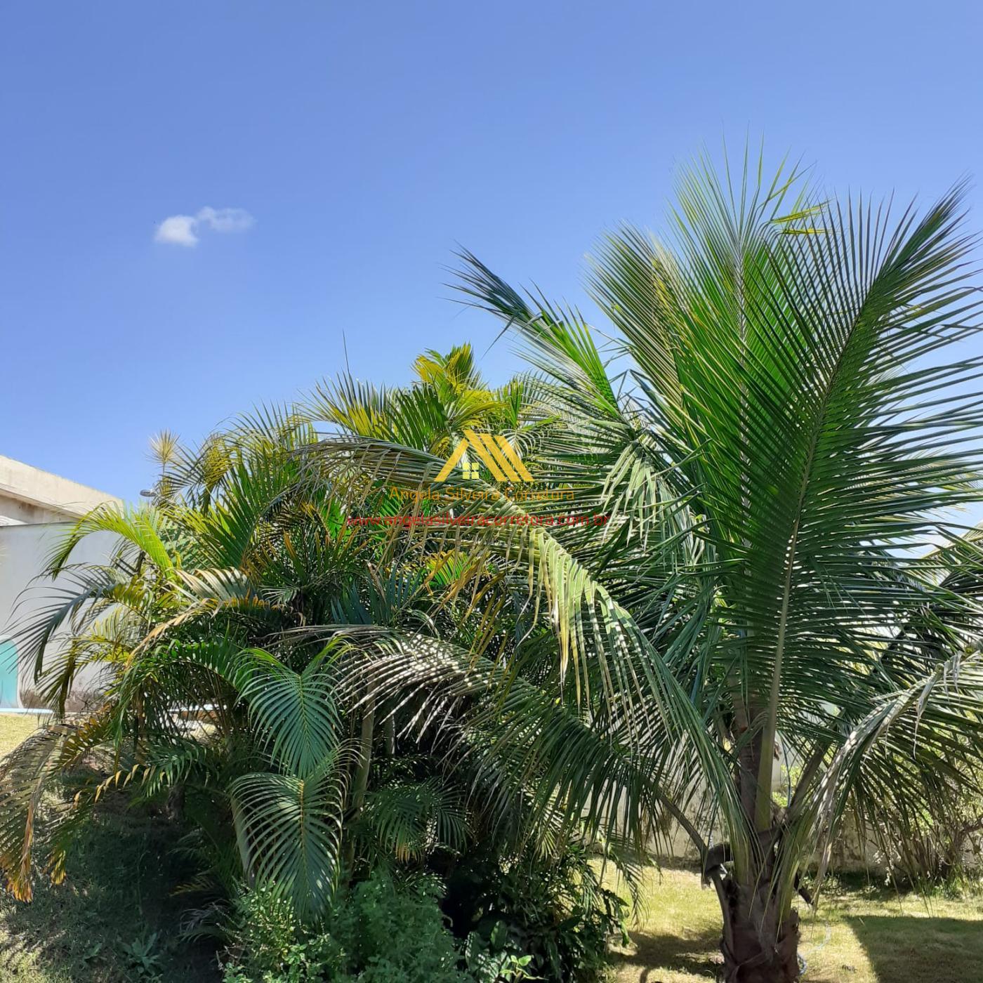Casa, 4 quartos, 1000 m² - Foto 11