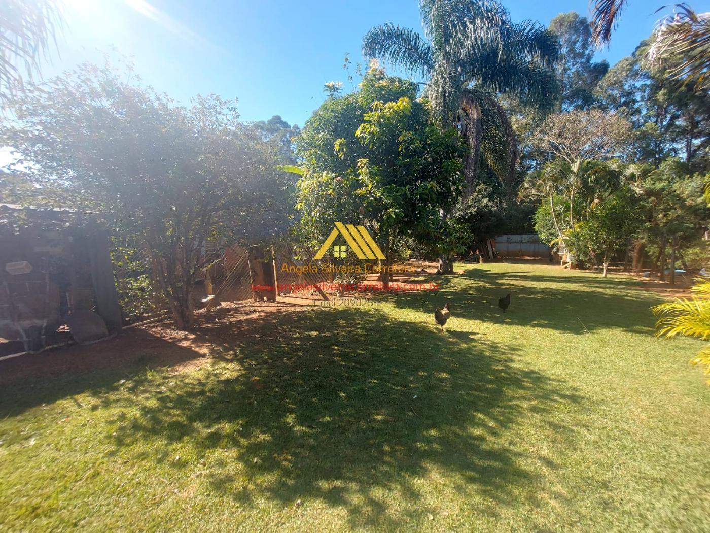 Fazenda, 1000 m² - Foto 17