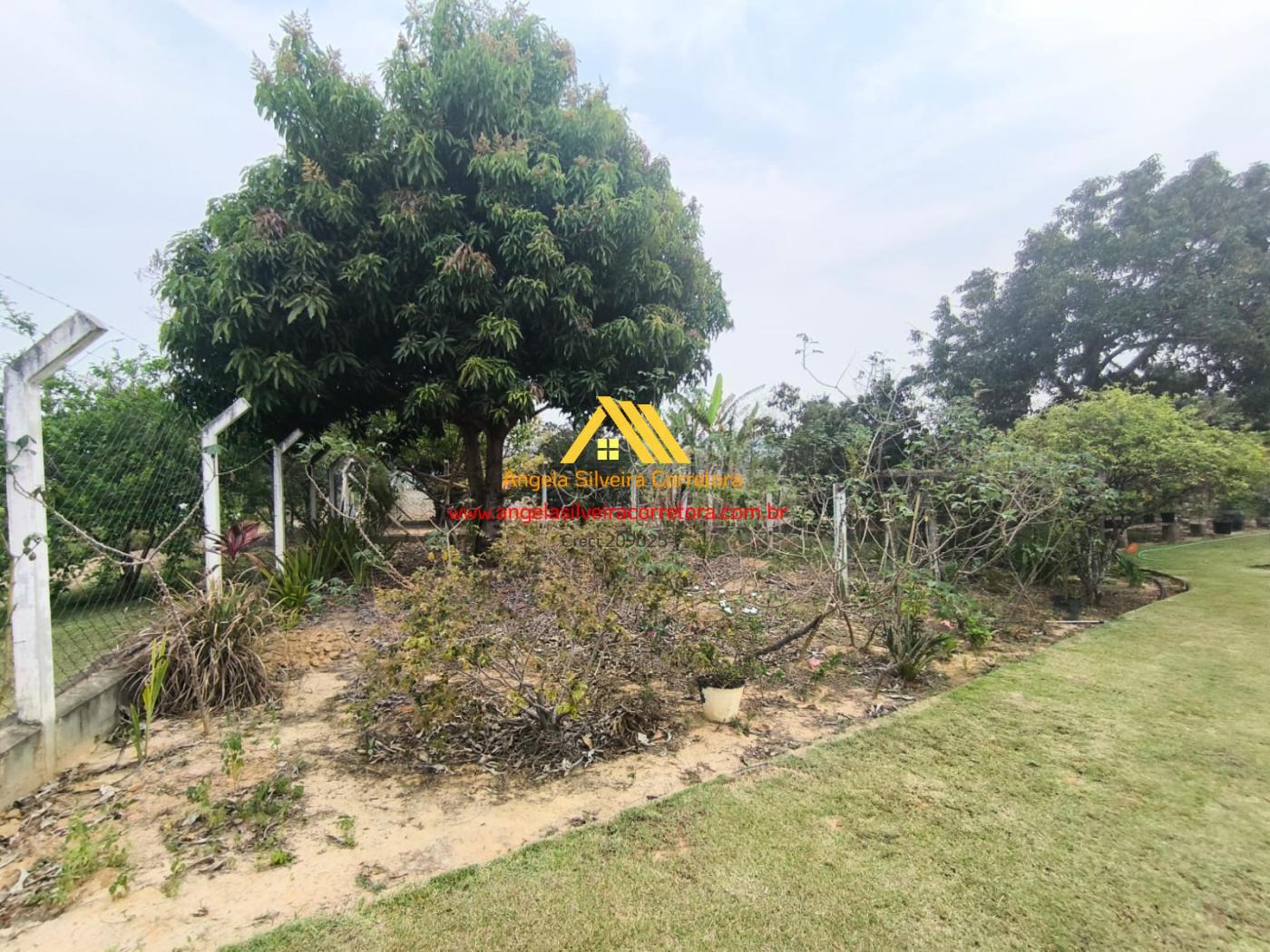 Fazenda, 1000 m² - Foto 3