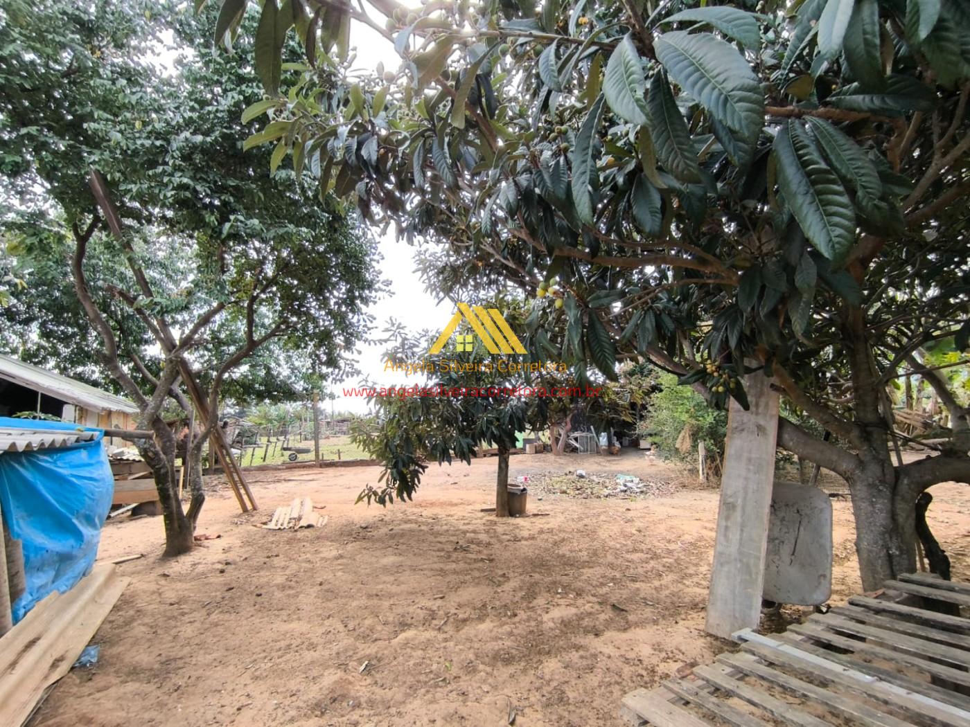 Chácara, 3 quartos, 2100 m² - Foto 23