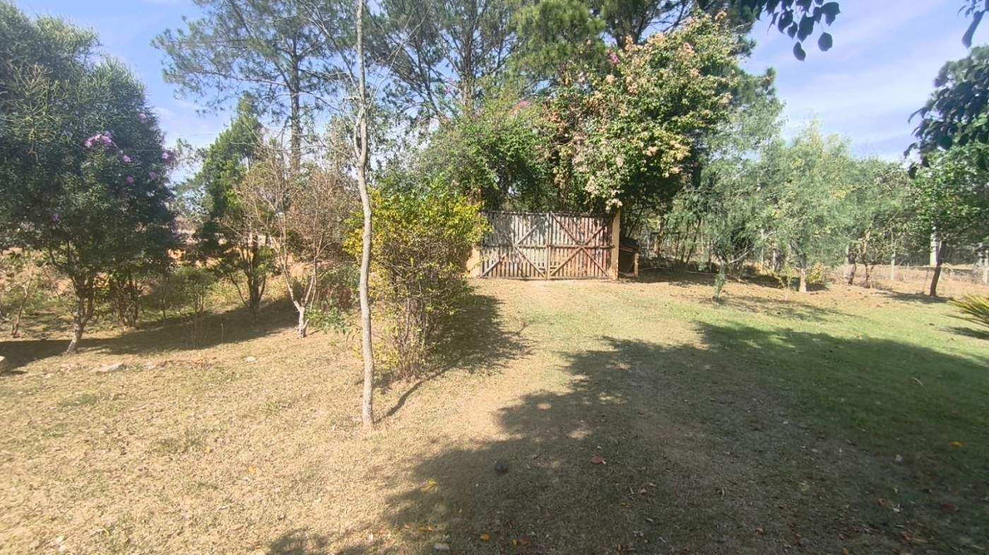 Chácara, 4 quartos, 5100 m² - Foto 2