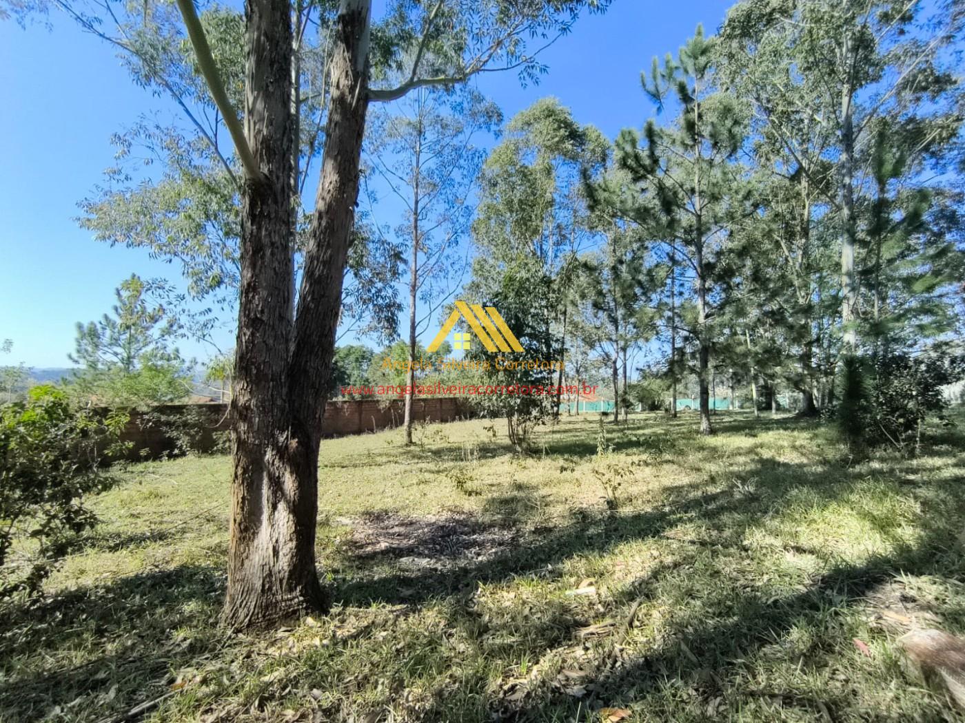 Terreno, 5000 m² - Foto 4