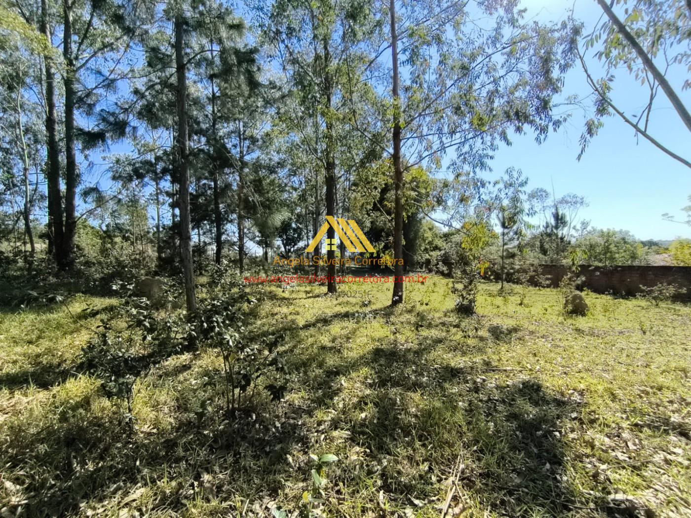 Terreno, 5000 m² - Foto 3