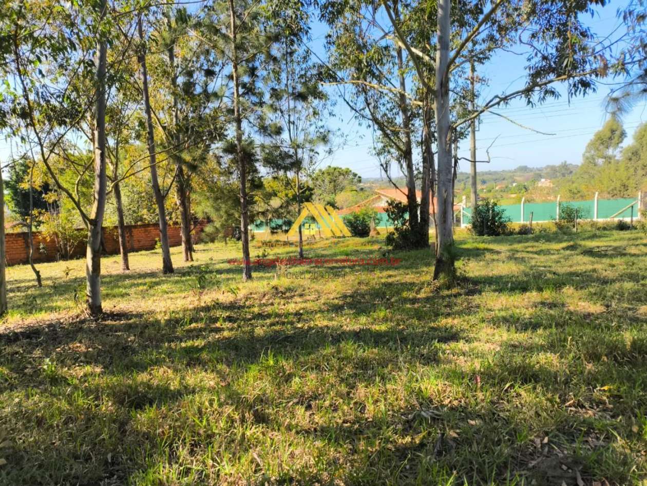 Terreno, 5000 m² - Foto 5