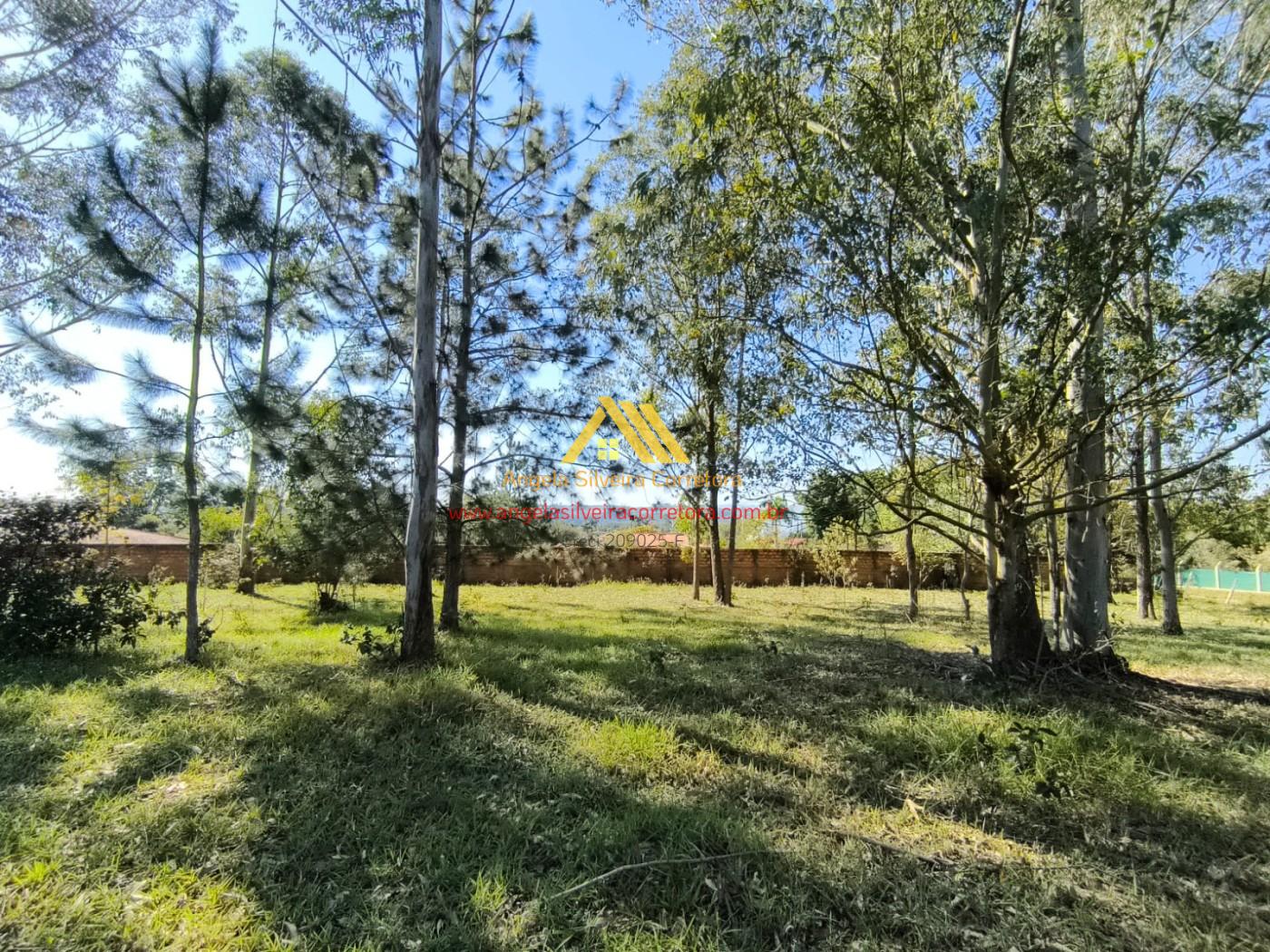 Terreno, 5000 m² - Foto 7
