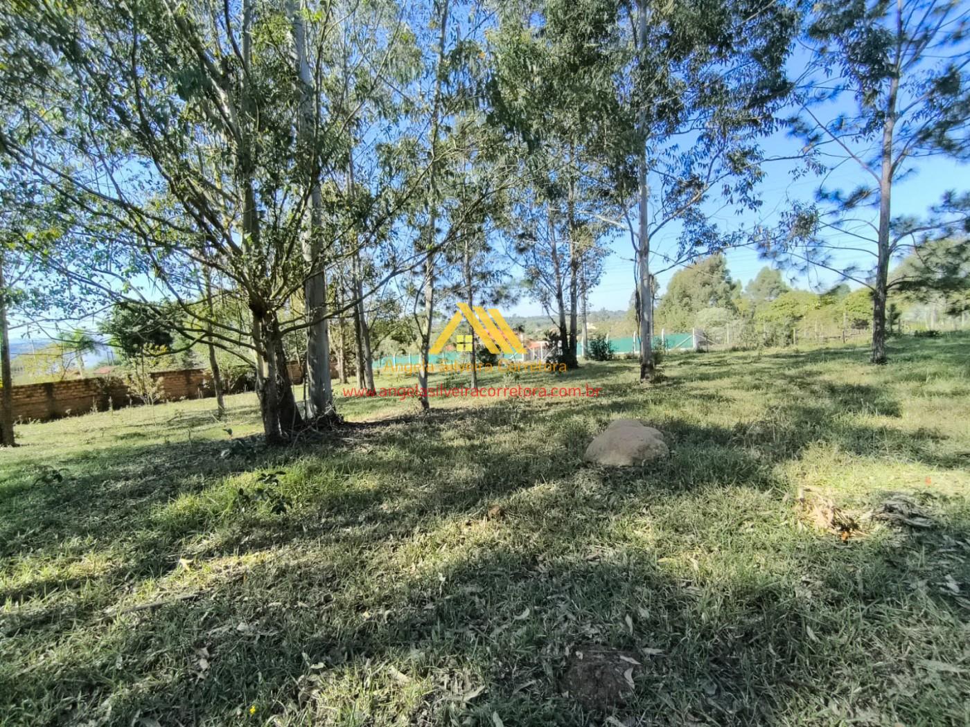 Terreno, 5000 m² - Foto 8