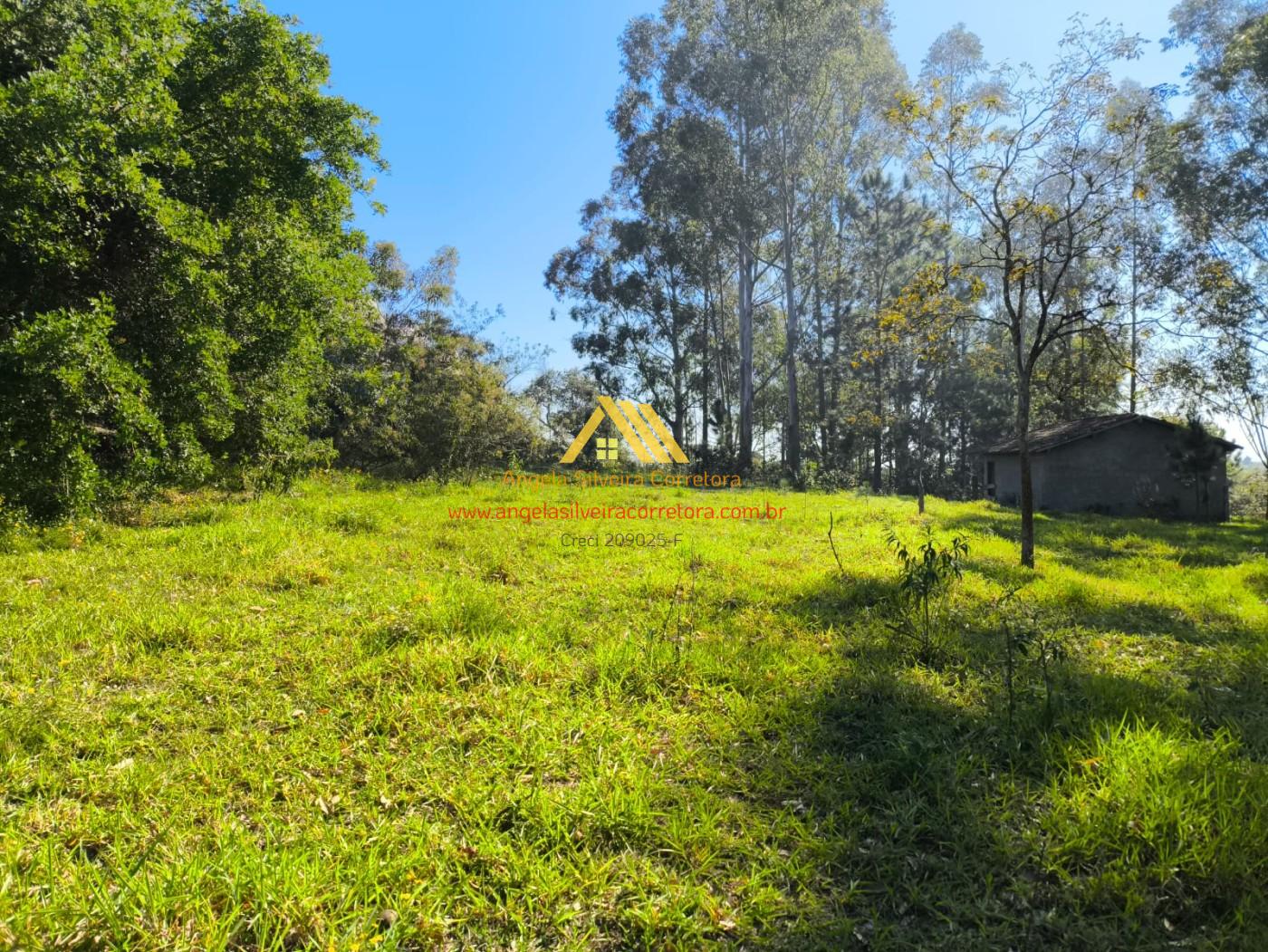 Terreno, 5000 m² - Foto 1