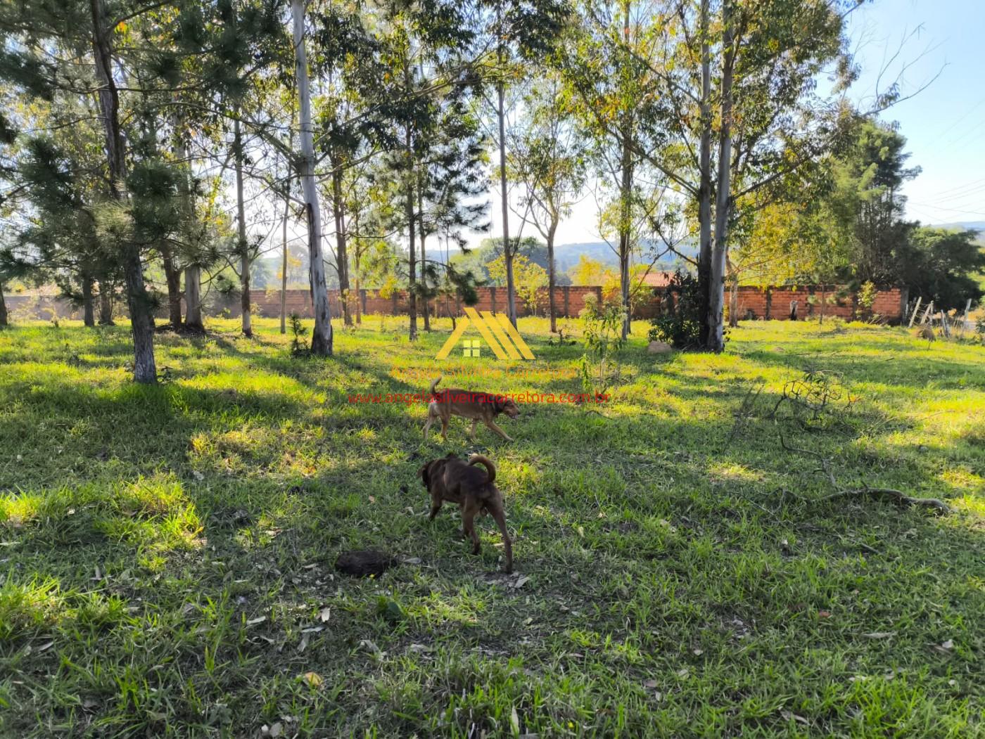 Terreno, 5000 m² - Foto 9