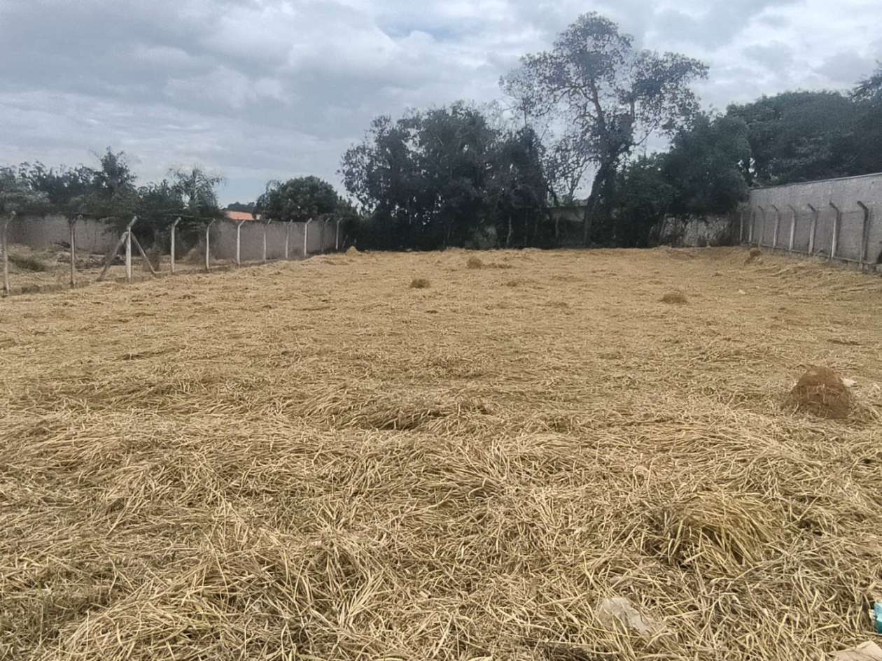 Terreno, 1056 m² - Foto 5